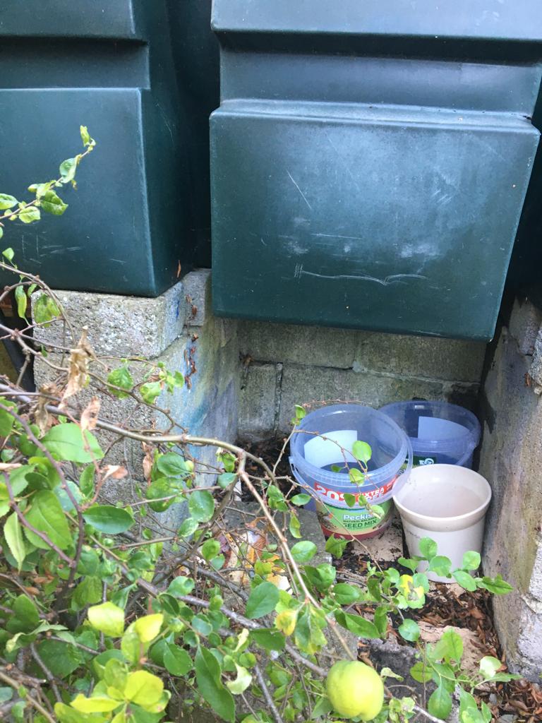 Buckets under a dripping tank
